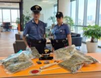 Cadelbosco Sopra. Cercano il coinquilino, gli trovano 4 kg di marijuana in casa: arrestato