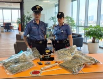Cadelbosco Sopra. Cercano il coinquilino, gli trovano 4 kg di marijuana in casa: arrestato