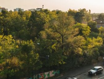 Di cosa parliamo quando parliamo di ambiente