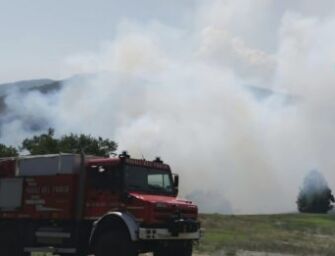 Vedriano, vasto incendio nei boschi: Canadair in azione