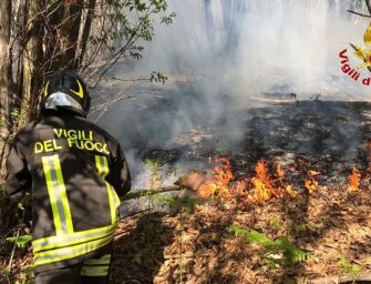 Ondata di calore in Emilia, fino al 9 agosto codice arancione per il rischio di incendi boschivi