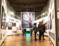 Strategia Fotografia 2026, tra i progetti finanziati c’è anche la Fondazione Palazzo Magnani