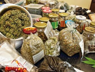 Castelnovo Monti. Fermato con la marijuana su un Flixbus, a casa ne aveva 10 kg