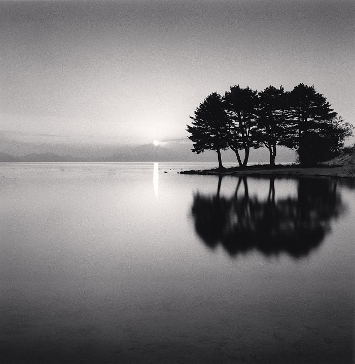 Un'immagine della mostra "Beautiful Fukushima" alla Galleria 13 di Reggio Emilia