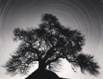 Reggio, alla Galleria 13 la mostra “Beautiful Fukushima”: all’inaugurazione c’è Michael Kenna