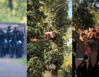 Bosco Ospizio Reggio, le ruspe al lavoro tra proteste e polizia