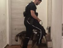 Reggio, durante i controlli in centro ritrovata una ragazza minorenne scappata da casa