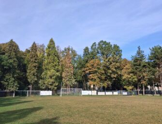 Reggio, l’allarme di Pellini: “Alberi a rischio abbattimento anche in via Melato”