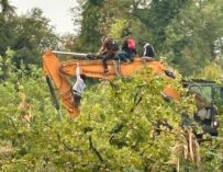 Bosco Ospizio Reggio, blitz degli attivisti nel cantiere: bloccati i lavori