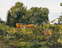 Bosco Ospizio Reggio, blitz degli attivisti nel cantiere: bloccati i lavori
