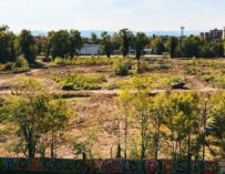Bosco Ospizio Reggio, il Consiglio di Stato: stop all’abbattimento di altri alberi