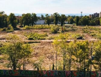 Bosco Ospizio Reggio, il Consiglio di Stato: stop all’abbattimento di altri alberi
