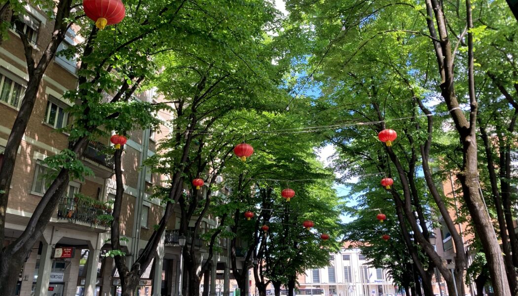 Le lanterne cinesi in viale IV Novembre a Reggio Emilia