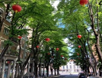 Viale IV Novembre, la protesta di un residente: “Le lanterne cinesi sono ancora lì”