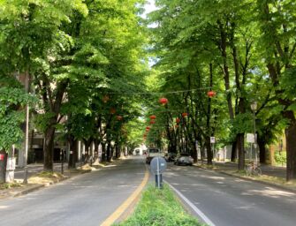 Zona stazione Reggio, la prossima mossa è la riqualificazione di viale IV Novembre